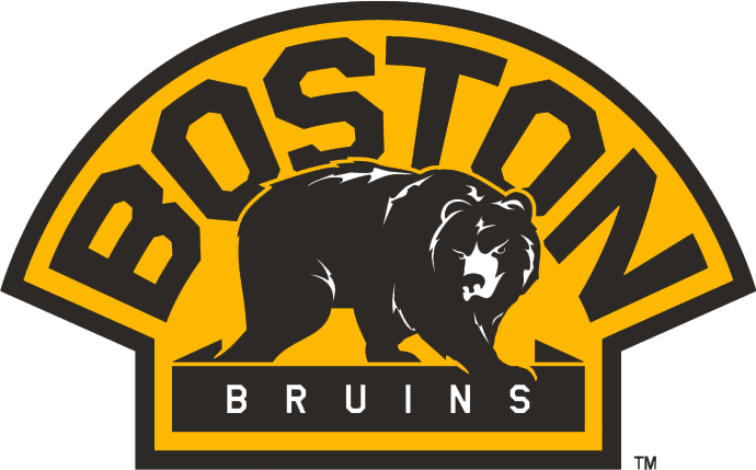 Boston Bruins 2007-Pres Alternate Logo iron on transfers for clothing